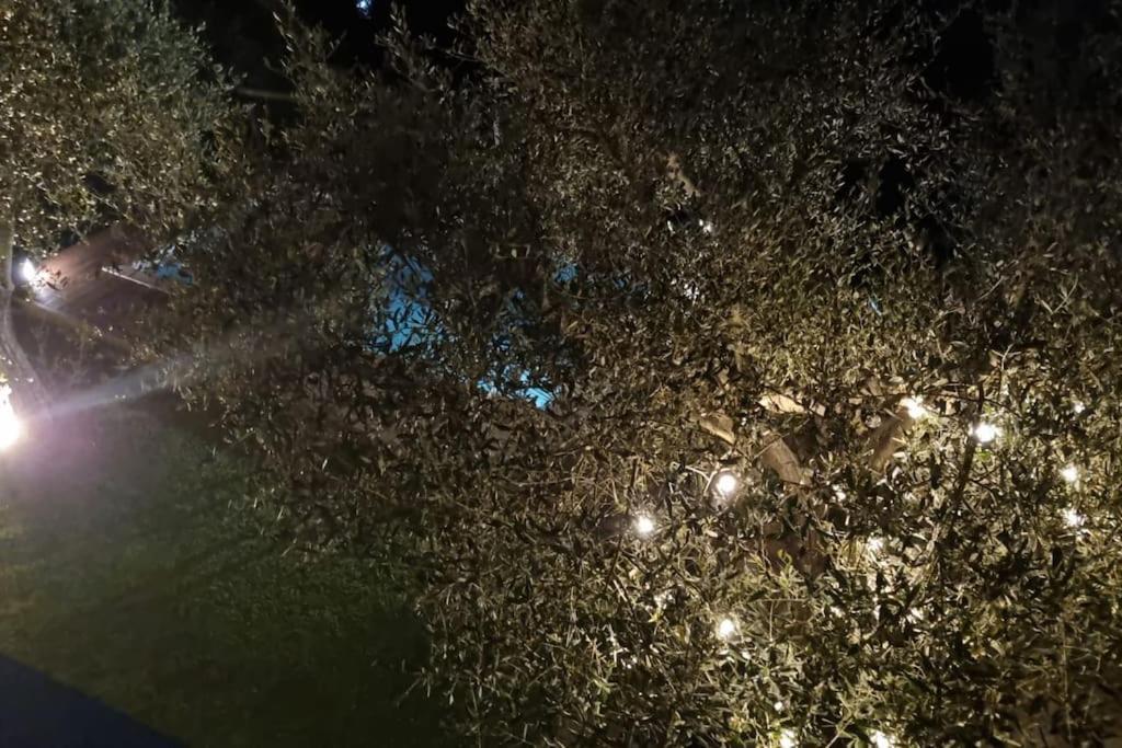 Villa Villacolle Massarosa Zewnętrze zdjęcie